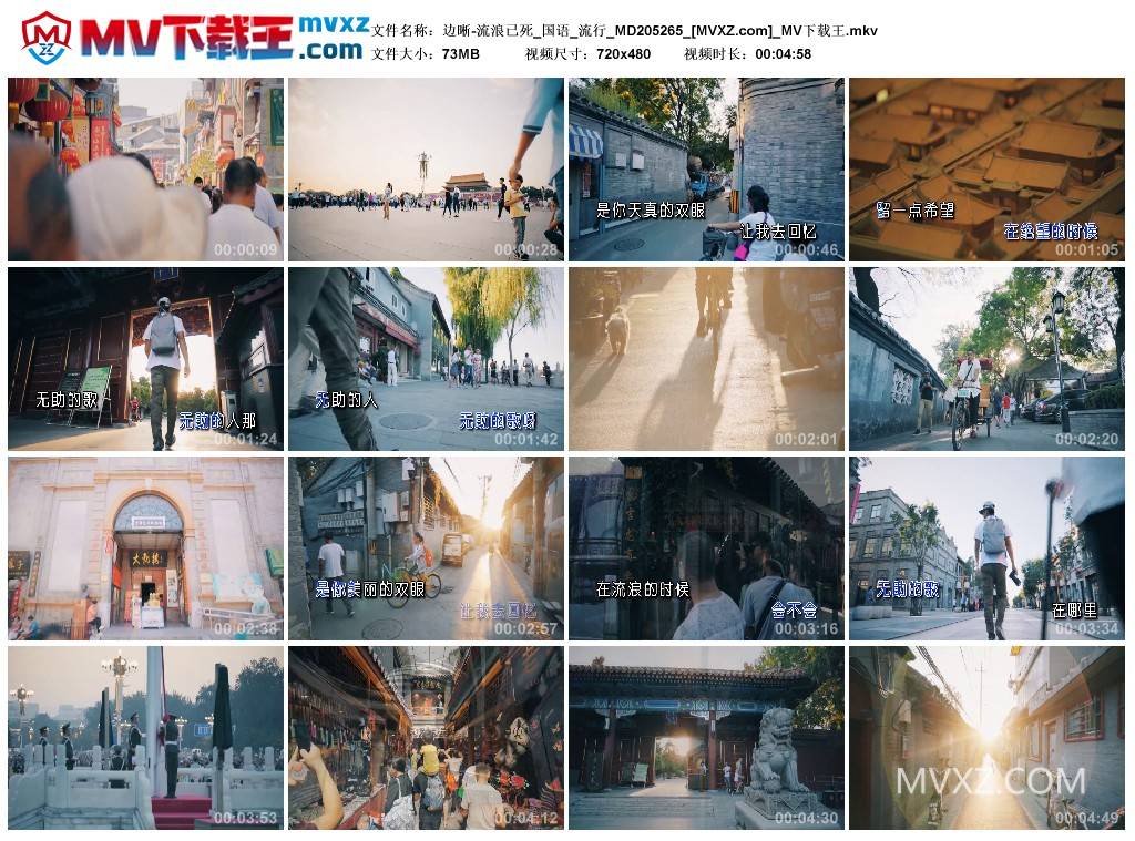 边晰-流浪已死_国语_流行_MD205265